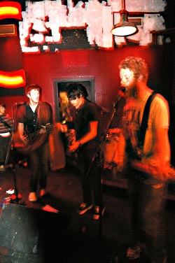 Tall Birds: blurred image, clearer vision.