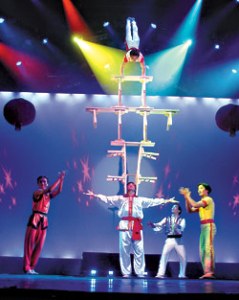 Defying gravity in Kirkland.