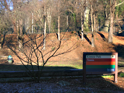 Make way for shih tzus: the entrance to Kinnear's lower depths.