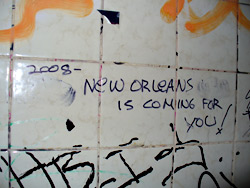 A Look Inside the Surviving New Orleans Music Scene