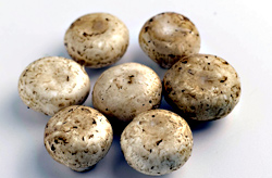 Happenings in the Food and Beverage Community