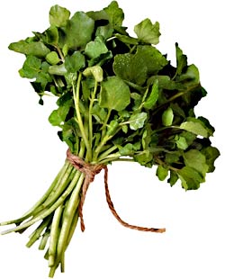 Farmers Markets, Frida's Recipes, and Other Food Events