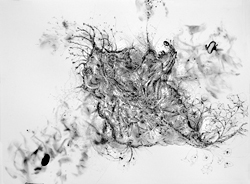 The burn work of Ellen Zeigler.