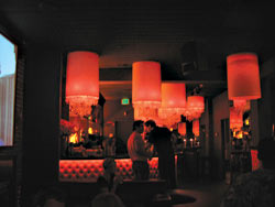 Babalu Books Mambo, Funk, and Brazilian Sounds for an Equally Diverse Clientele