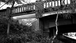 Paste-Up Urban Wildlife