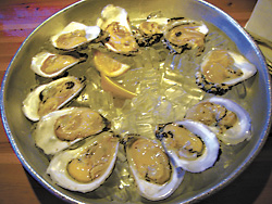 My Afternoon With 36 Oysters