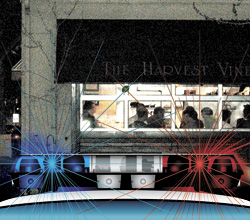 The quaint, European Harvest Vine is about the last place to which one would expect the cops to be summoned.