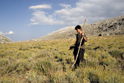 The remarkable Italian Sonet&agrave;ula(see Friday).