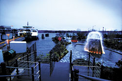 Bremertons efforts to spruce up its waterfront have drawn the ire of the Suquamish tribe.