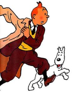 Tintin et Moi