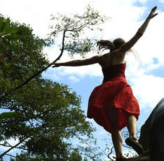 Arts in Nature Festival