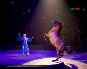 Ringling Bros. and Barnum & Bailey Circus