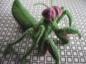 Hansi Singh: Mantidae