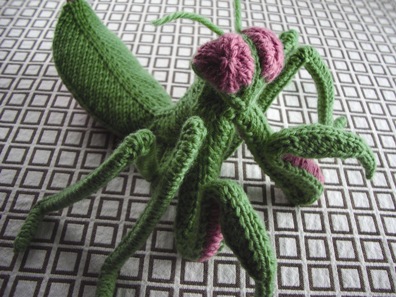 Hansi Singh: Mantidae