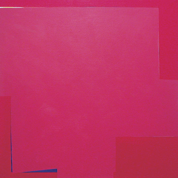 Best known for her architectural interventions—such as the large-scale, color-banded paintings seen