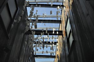 I Saw This: Letters Aloud