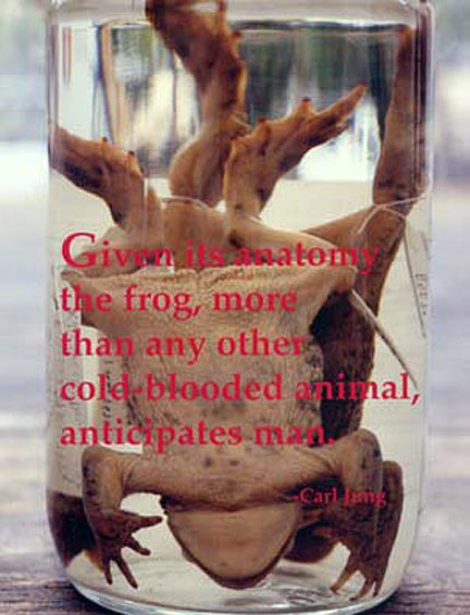 Tikkunim: Jewish Roots/Ecological Art