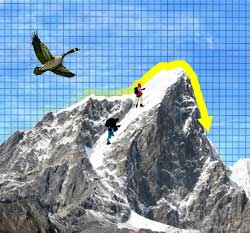 Eddie Bauers stock has fallen off a cliff.