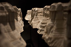 What weve pulped: Laram&eacute;es canyon.