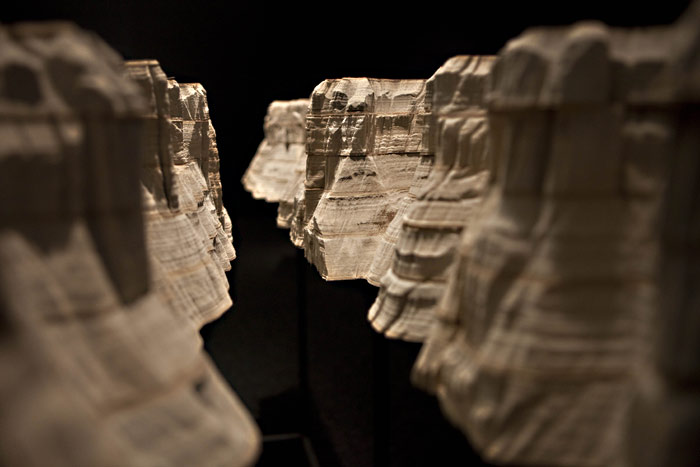 What weve pulped: Laram&eacute;es canyon.