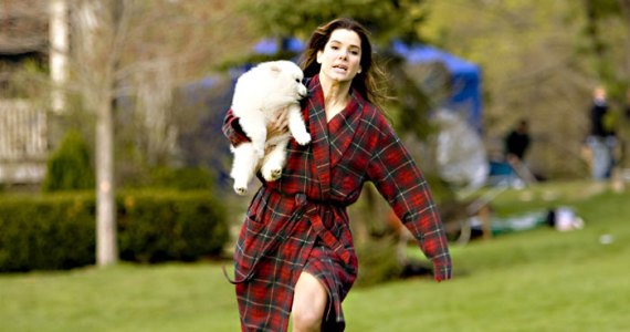 Bullock is running from something.