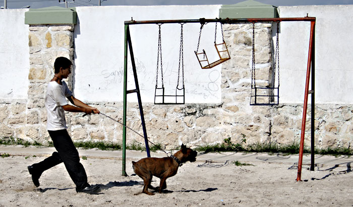 Cata&ntilde;o and his magical dog.