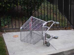 Northwest Emerging Artists