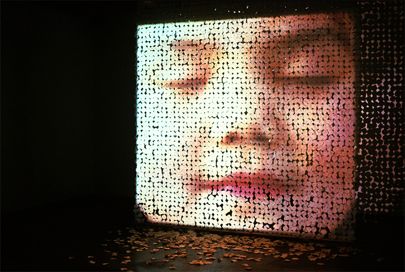 Laws adoptees at Wing Luke.