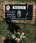 Bogart Bello’s gravestone overlooks his old gang’s East L.A. territory.