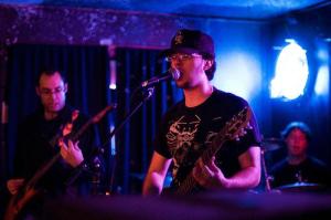 The Willow Collective