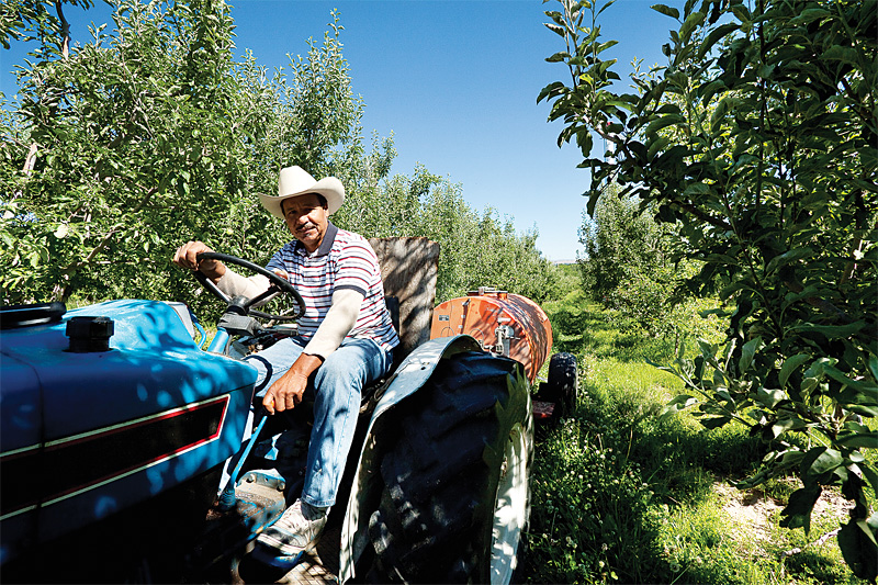 Manuel Herrera, who arrived illegally 30 years ago, now has seven kids and owns a 15-acre plot.