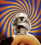 Retro style vector sunburst background.