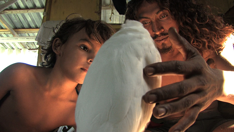Son Natan Machado Palombini and father Jorge Machado.