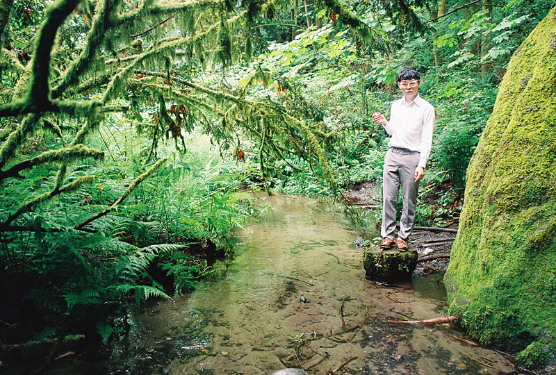 Still life with PWRFL Power.