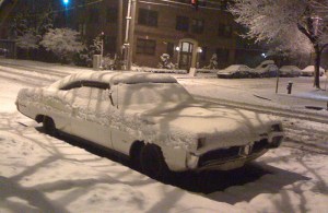 The Fussy Eye: Park and Hide