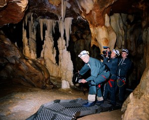 Herzog immersed in Stone Age history.