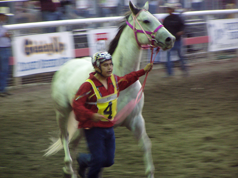 Josh Harry with his horse in the Stampede arena prior to the Suicide Race.