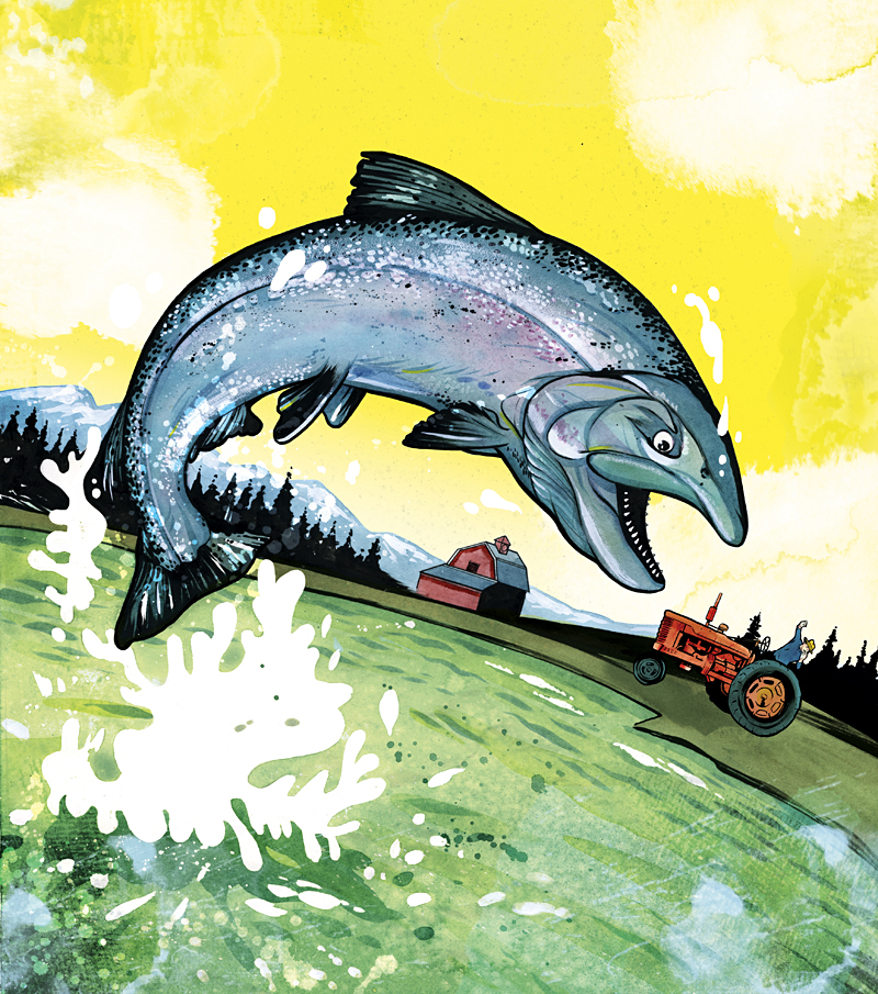 Fish vs. Farms on the Skagit Delta