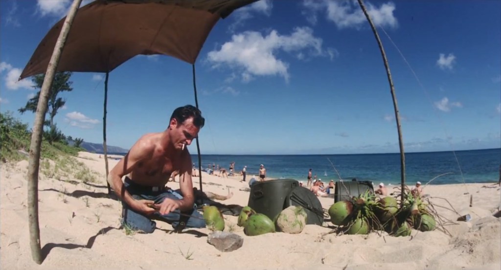 Phoenix on the beach.