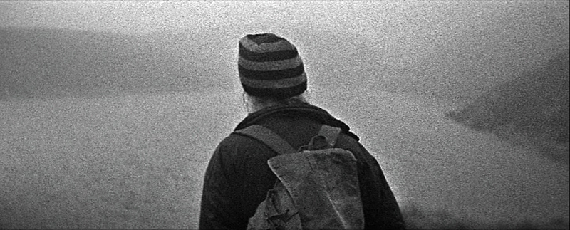 Rivers' hermit (Williams) in his natural state.