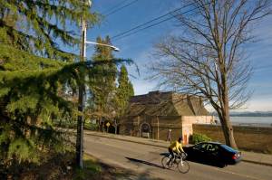 The Theater of Needless Talents