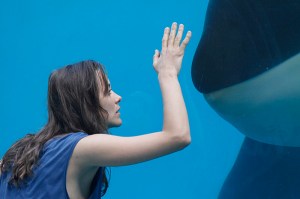 Cotillard's trainer gets too close to the whale.