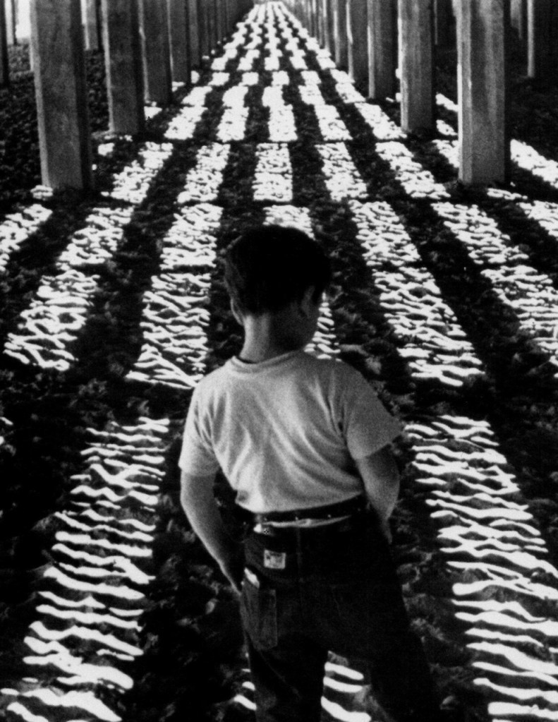 Andrusco below the boardwalk in Little Fugitive.Kino Intl.