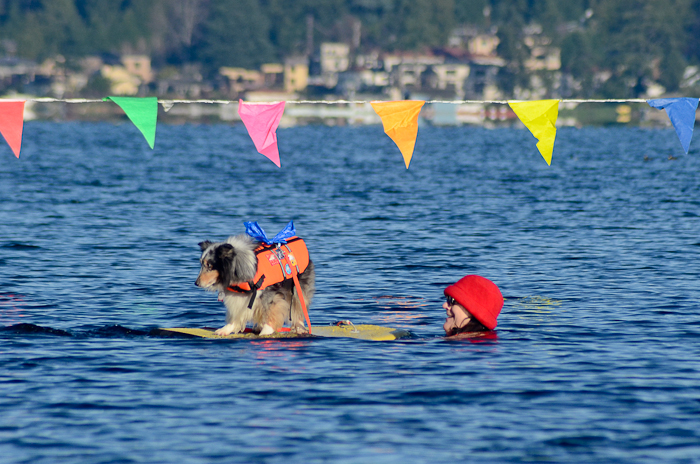A hardy crowd of Seattleites rang in the new year in chilly