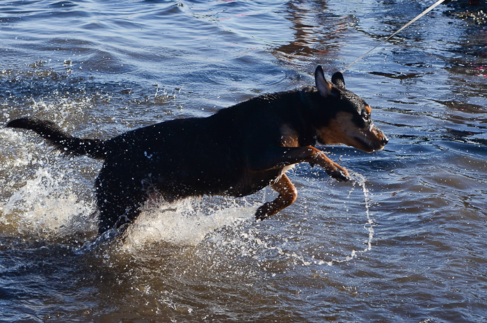 A hardy crowd of Seattleites rang in the new year in chilly