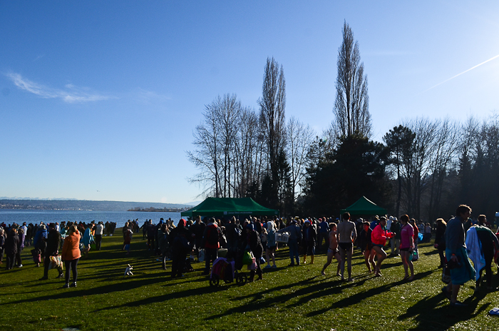 A hardy crowd of Seattleites rang in the new year in chilly