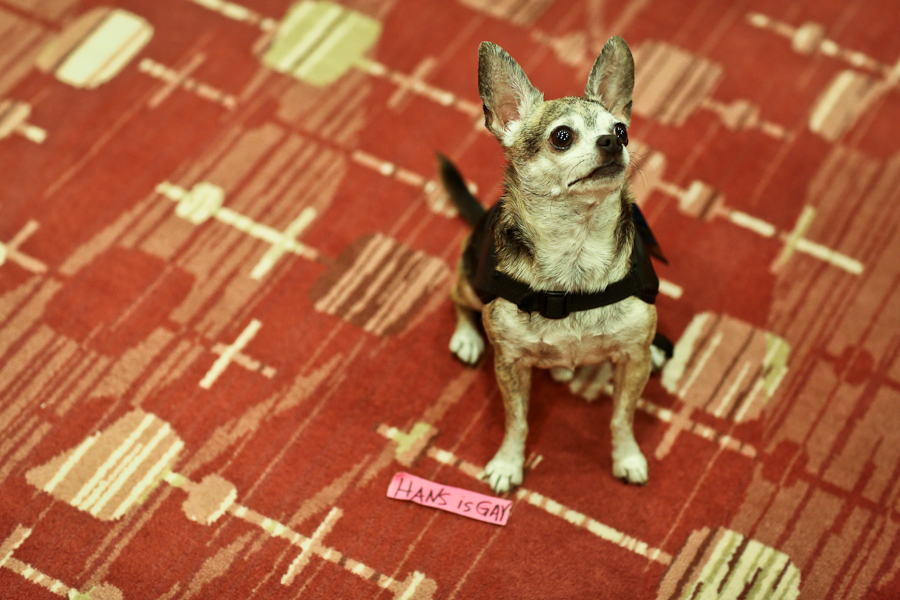 There was more than just music aboard the S.S. Coachella. From getting