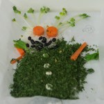 On Sunday, makers of onigiri -- a Japanese delicacy of white rice