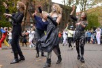 On October 27th, 2012, zombies took over Occidental Park for Thrill The