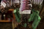 Seattle's Northwest Chocolate festival presented two days of pure chocolate decadence and